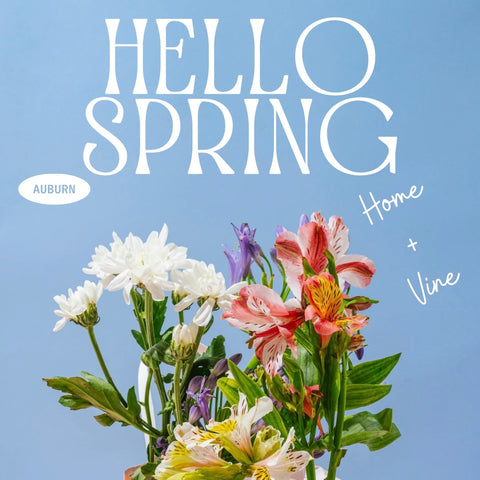 2026 Spring Collection